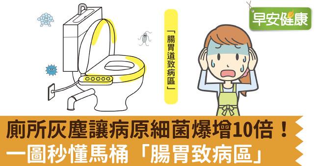 廁所灰塵讓病原細菌爆增10倍!一圖秒懂馬桶「腸胃致病區」